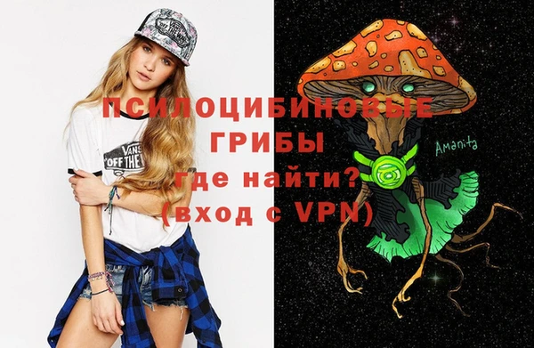 ешки Белокуриха