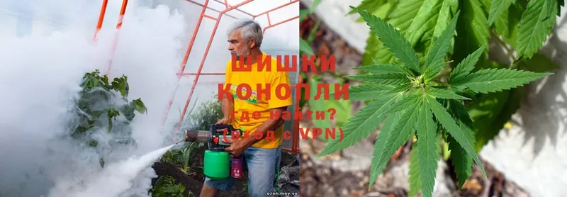 цены   Буйнакск  Конопля OG Kush 